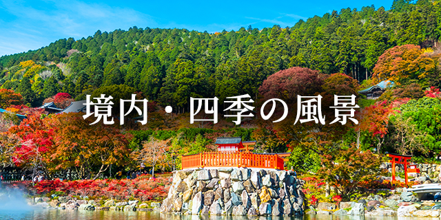 勝尾寺の境内マップ・四季の風景