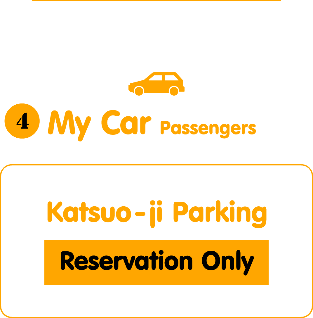 My Car Passengers