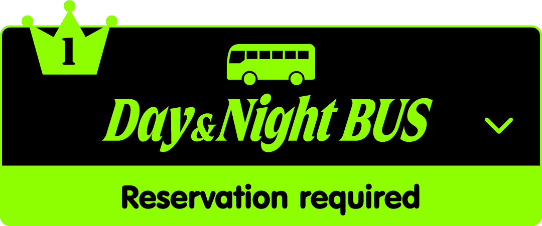 Day&Night BUS
